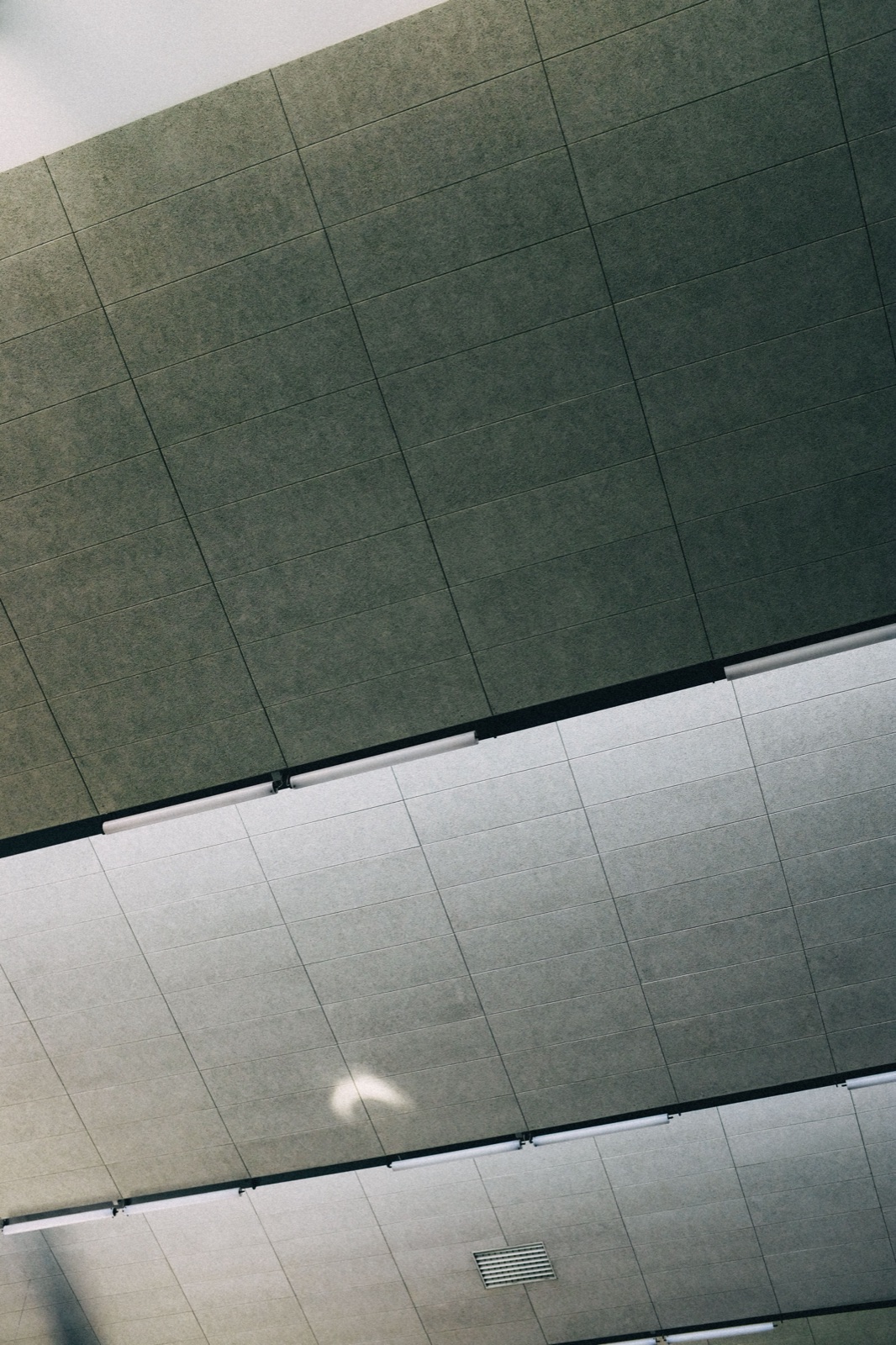 Reference photograph — adrien olichon