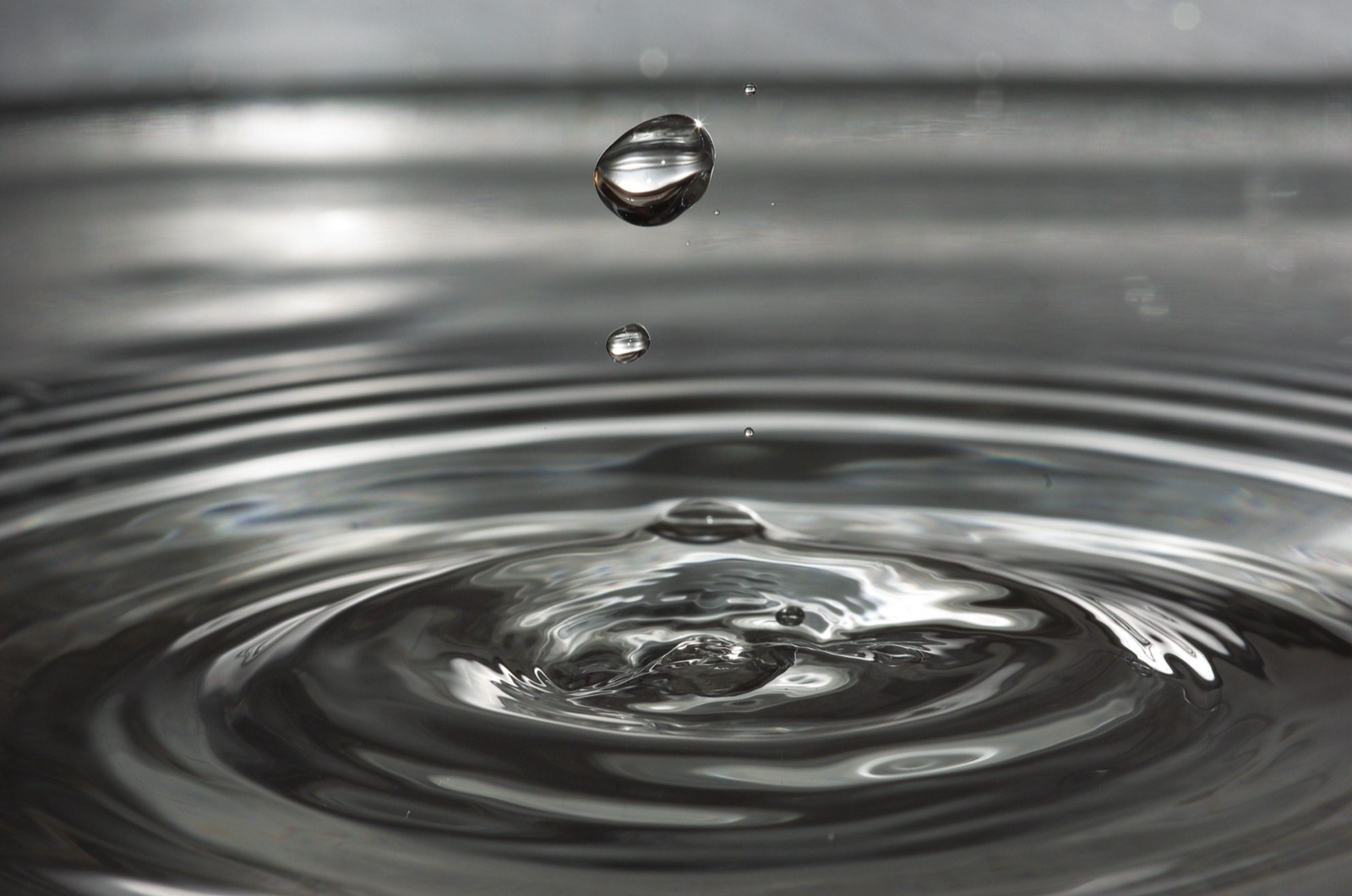 Reference photograph — claudiawollesen water