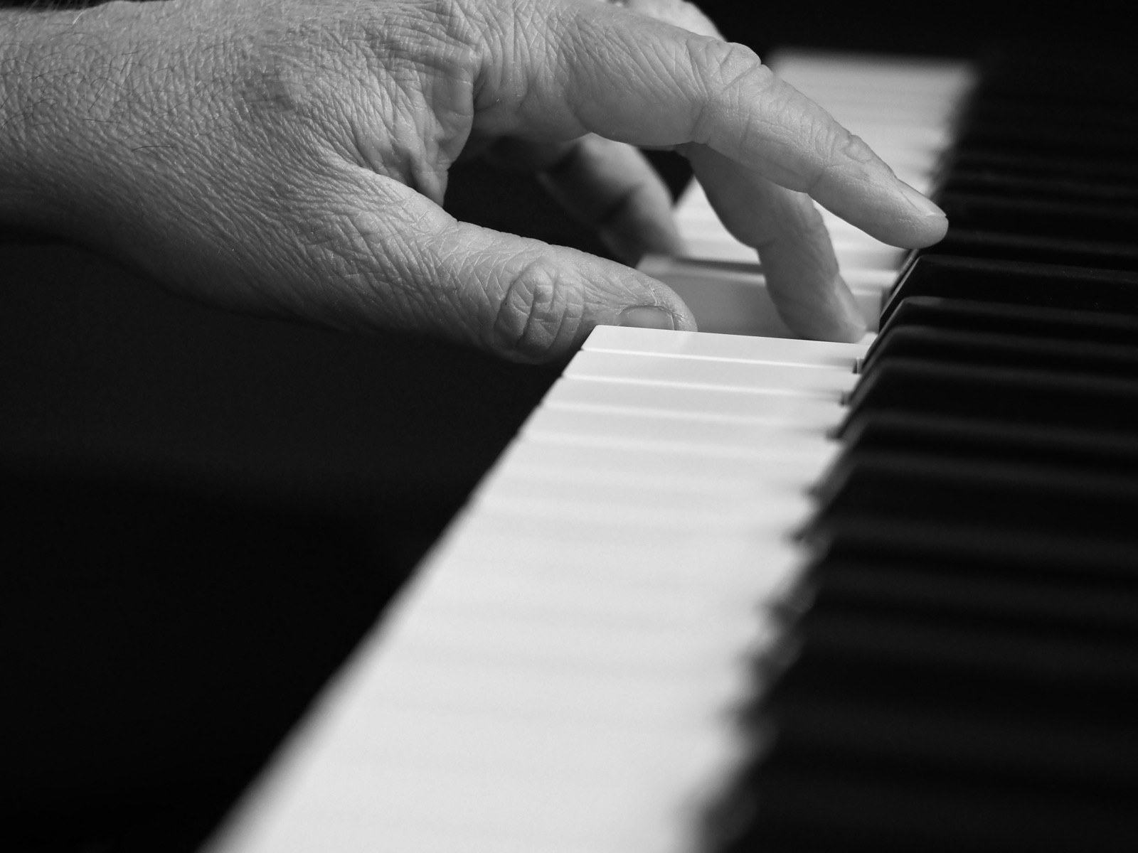 Reference photograph — ralf piano